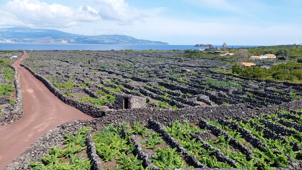 Açores et Madère