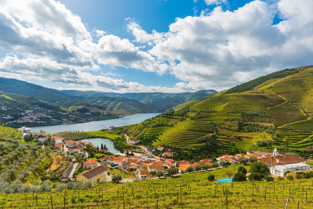 Vin portugais : voyage dans les vignobles du Portugal
